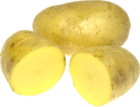 Lungauer Eachtling - Sorte Ditta